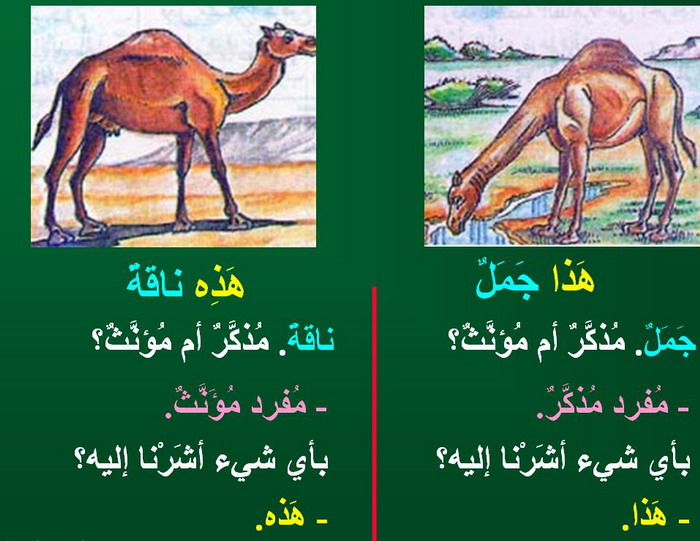 definite-demonstrative-nouns-in-arabic-arabic-language-blog