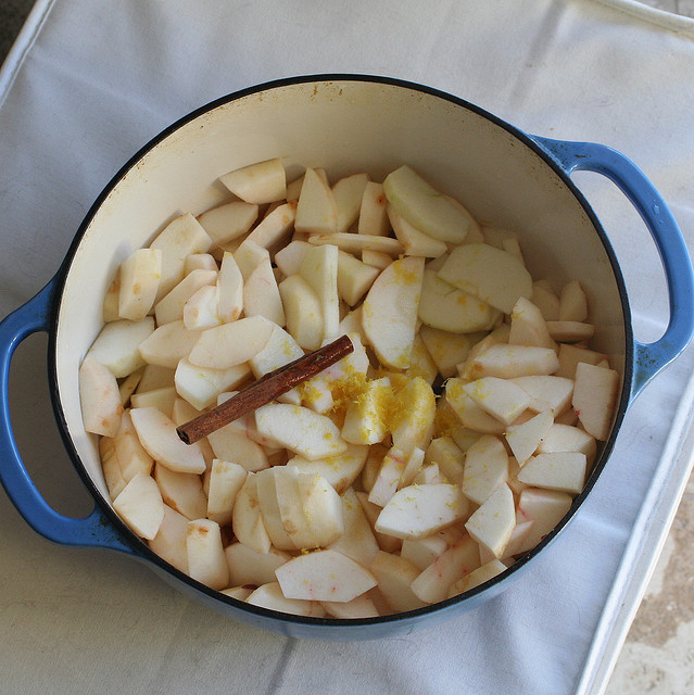 Apple Wedges with Cinnamon | Image by Whitney 