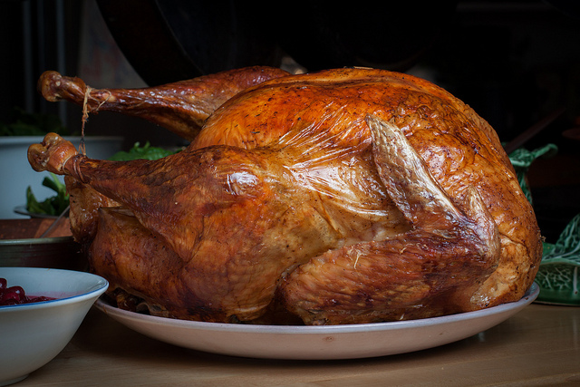 Thanksgiving Turkey by Tim Sackton | Flickr