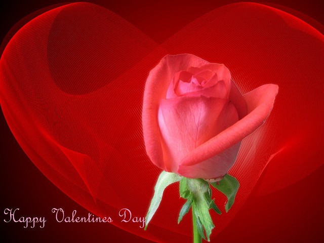 Happy Valentine's Day | Image from Flickr