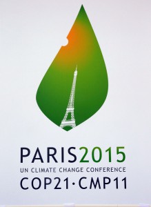 A picture taken on January 14, 2015 shows the logo of the upcoming UN Climate Change Conference, the Cop 21 summit in Paris, on January 14, 2015. AFP PHOTO /JACQUES DEMARTHON