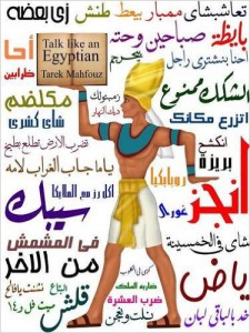 Talk Like an Egyptian by Tarek Mahfouz