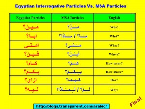 Egyptian Interrogative Particles vs. MSA Particles