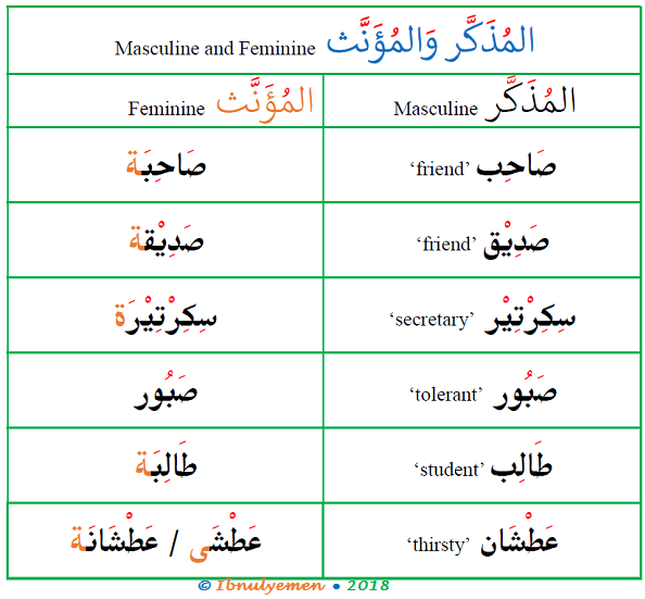 Arabic Masculine And Feminine Vocabulary Arabic Language Blog