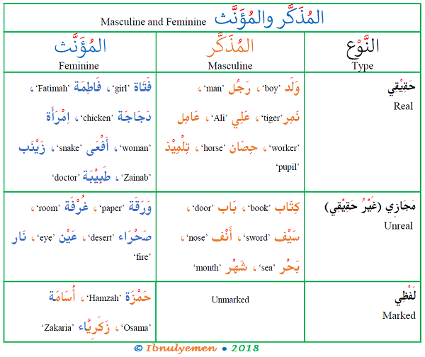 The Gender Of Arabic Nouns Arabic Language Blog