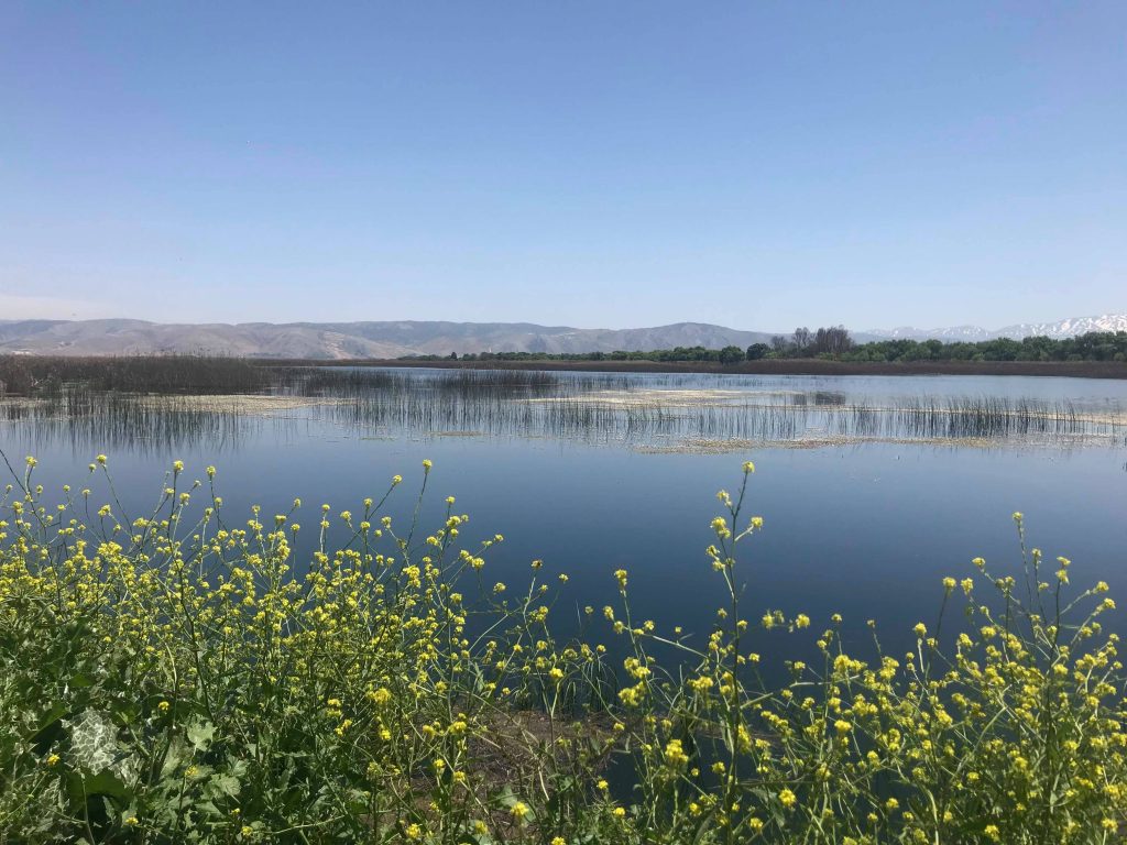 Hiking in the Ammiq Valley Arabic Language Blog