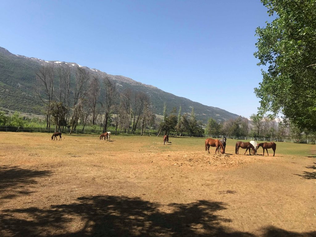 Hiking in the Ammiq Valley Arabic Language Blog