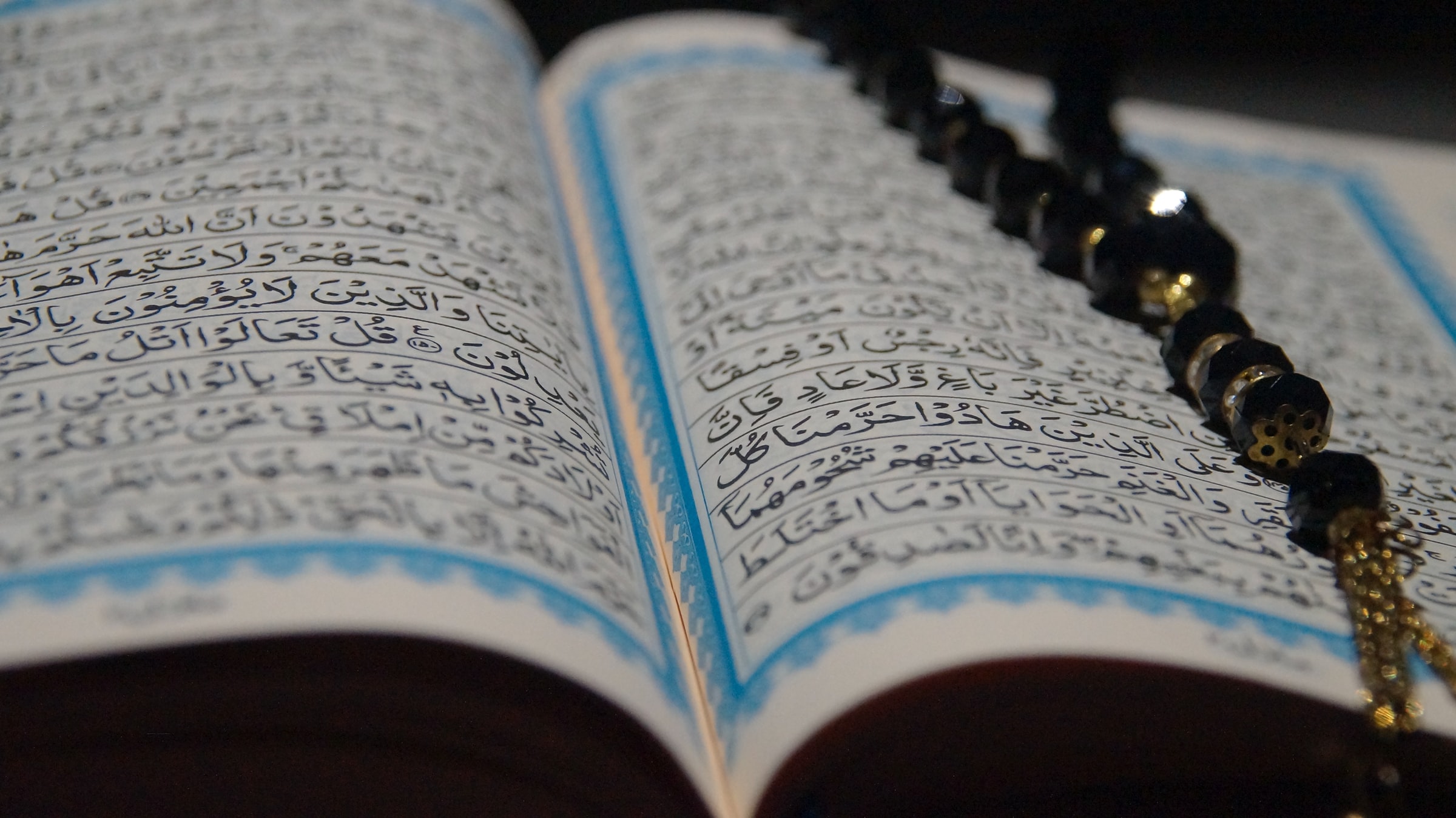 World Arabic Language Day Arabic Language Blog