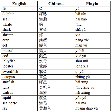 Easy Chinese - 20 Marine Animal Vocabulary Words | Chinese Language Blog