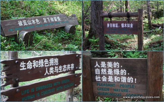North side Chinglish signs.
