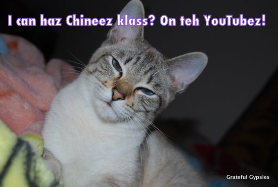 Even LOL cats like learning Chinese on YouTube!