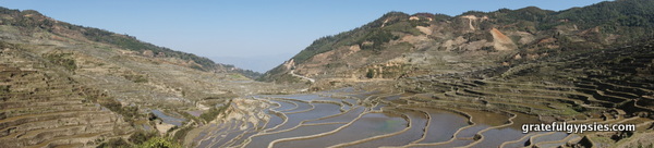 Panoramic views of the rice terraces.
