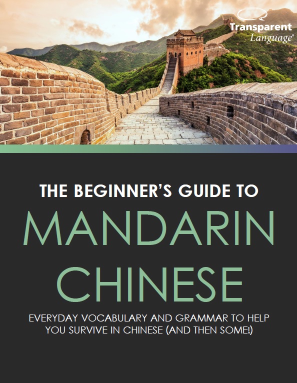 chinese beginners guide