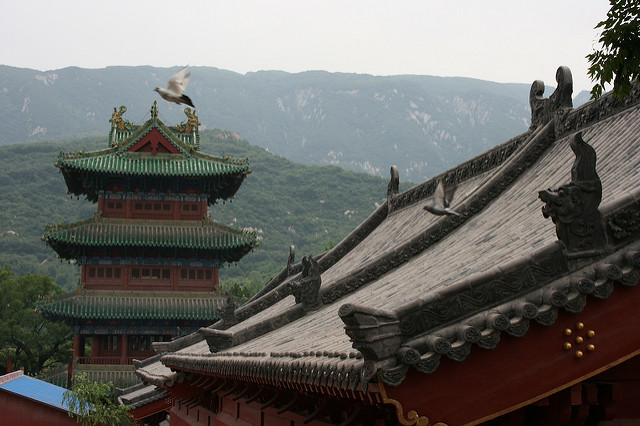 Shaolin Temple. Image by chad from flickr.com.