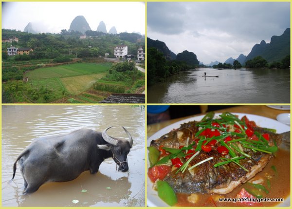 Guilin Day Two Video
