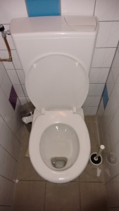 A Dutch "shallow flusher" toilet