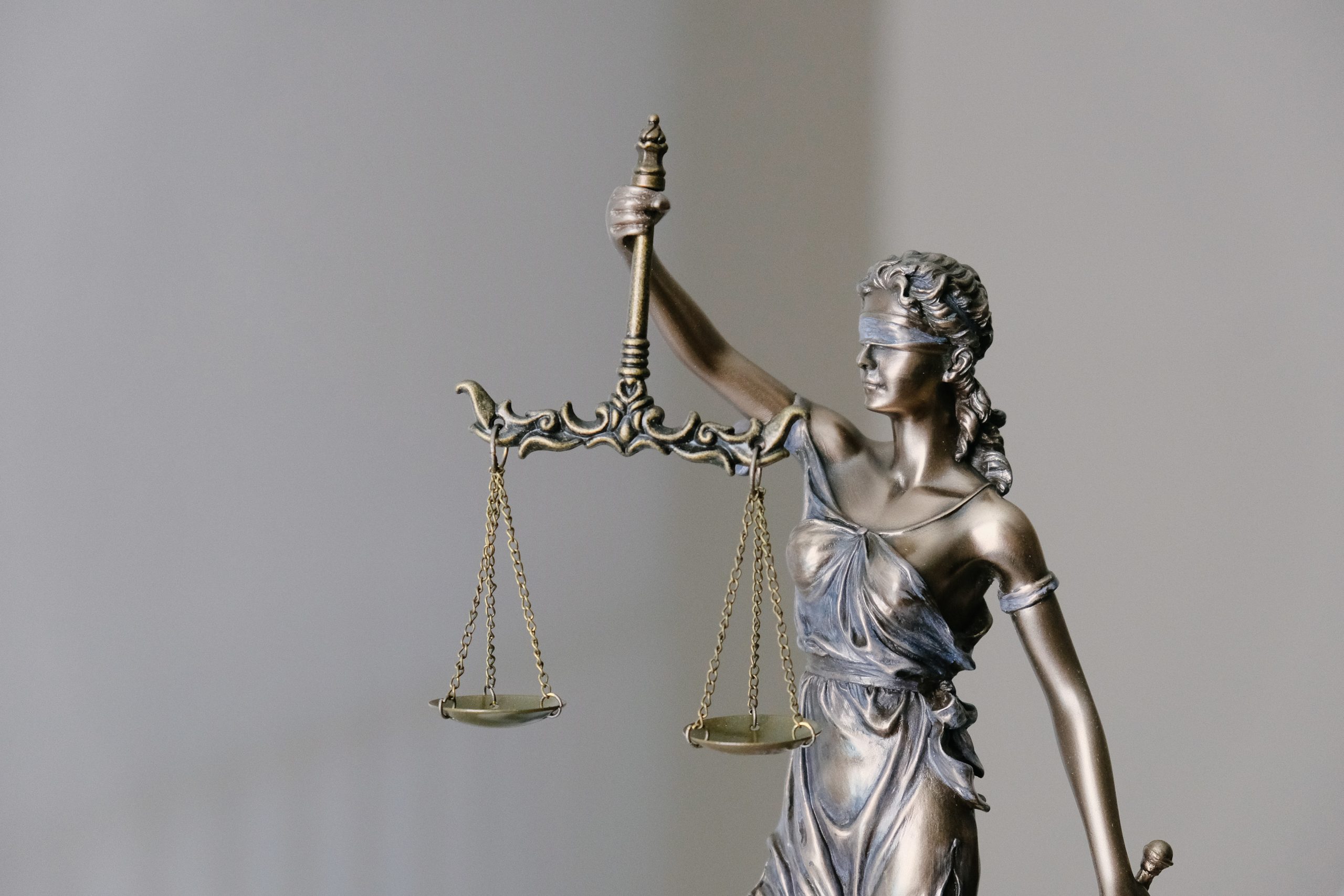 inclusive government law justice