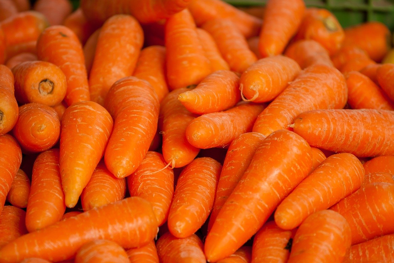 carrots orange oranje wortel