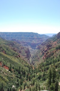 Looking out over the south rim of the canyon.