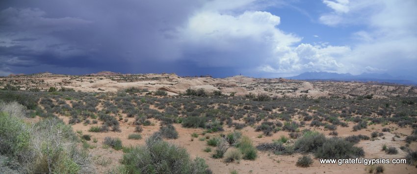 Petrified Dunes Panorama.