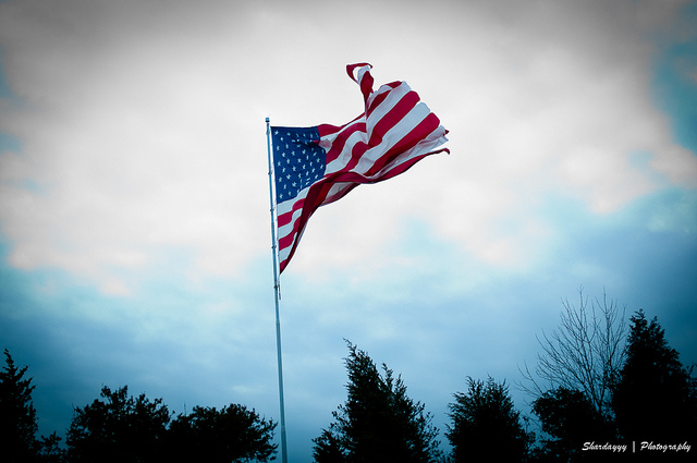 Image "The American Flag" by Shardayyy from Flickr.com