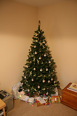 A decorated Christmas tree.