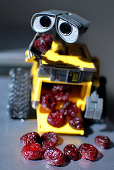 robot reating craisins