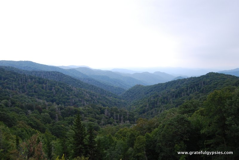 Great Smoky Mountains NP