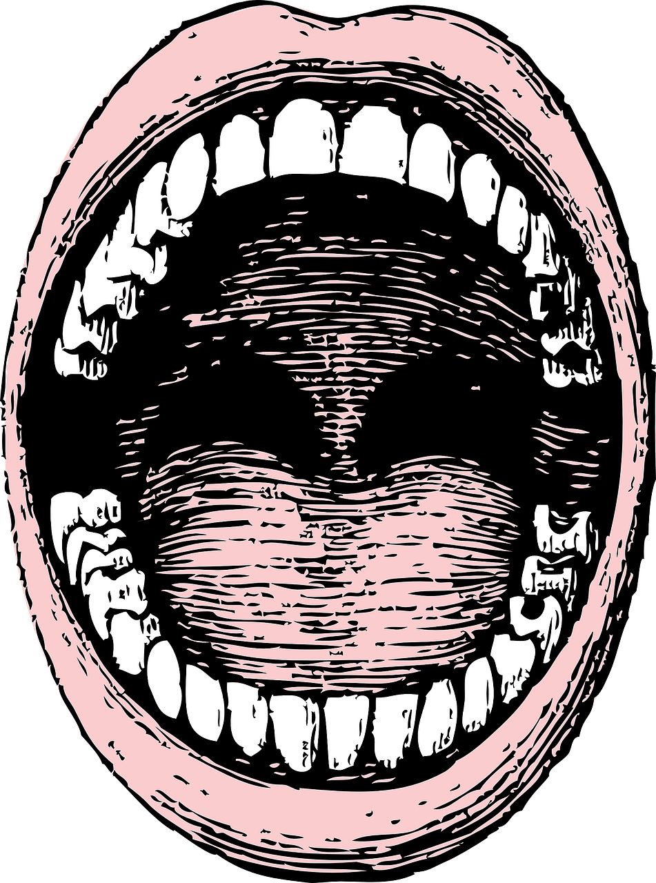 The Chaos” of the English Tongue | English Language Blog