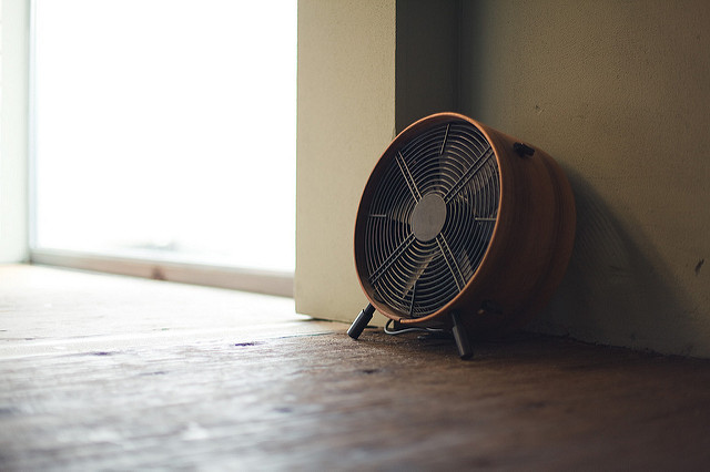 "fan" by Niels Epting on Flickr. Licensed under CC BY-ND 2.0.