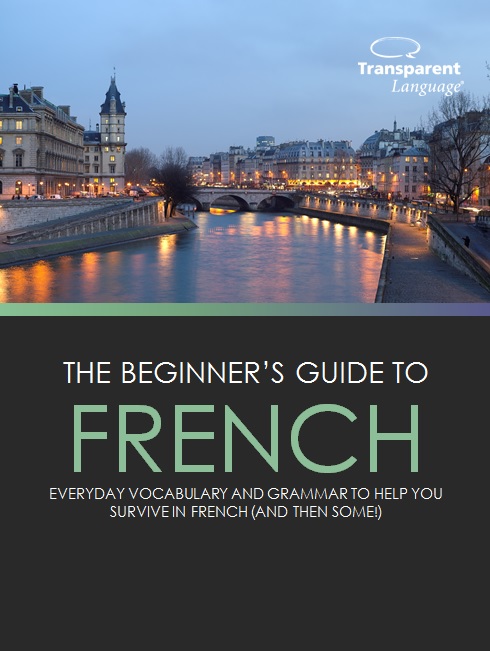 beginners guide to french