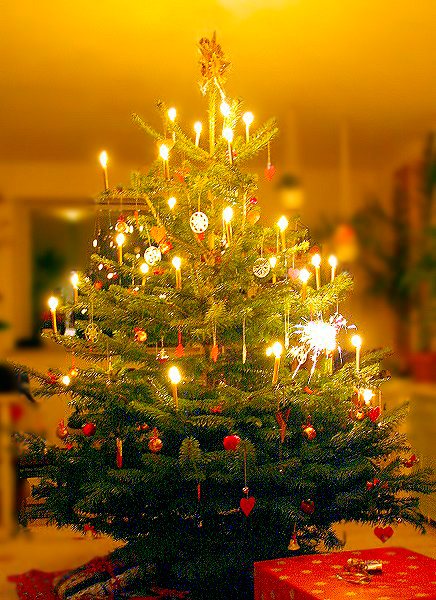 My Beautiful Fir Tree - O Christmas Tree In French | French Language Blog