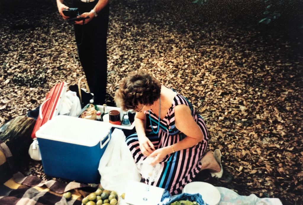 A French picnic French Language Blog