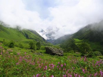 Valley of Flowers in Uttaranchal