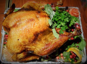 IcoNYCa_ThanksgivingTurkey (2)