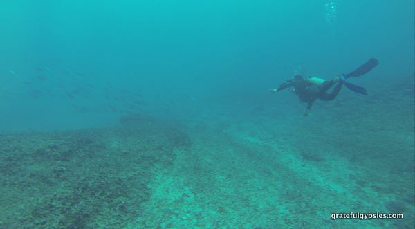 Gili Air Diving