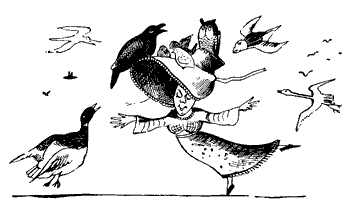 'Prótadhamhsa áthais'? Pictiúr ca. 1850 le Edward Lear, i bhfad sula raibh an focal 'happy dance' chomh 'trendy' (http://public-domain.zorger.com/a-book-of-nonsense/115-cartoon-happy-dancing-women-with-big-hat-perched-birds-goose-public-domain.gif)