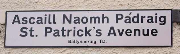 Hmmm, yes, the sign does mean "St. Patrick's Avenue," but what else could "Ascaill Naomh Pádraig" mean? Leid: is ceann de bhaill an choirp é! (https://en.wikipedia.org/wiki/File:Ascaill_Naomh_P%C3%A1draigcrop.jpeg#file, public domain, GRMA, a Stiofáin as é seo a chur ar fáil) 
