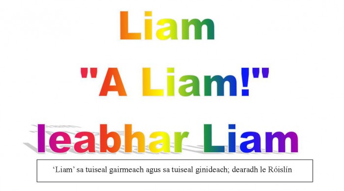 Liam - A Liam - leabhar Liam