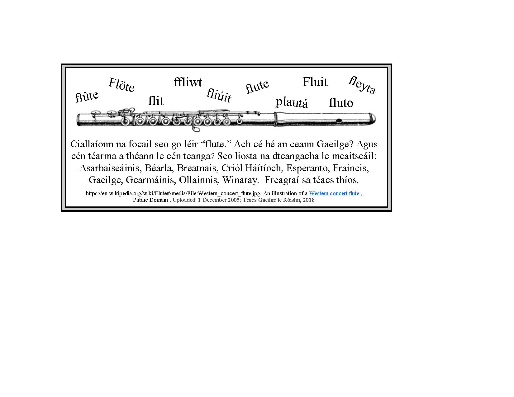 Ag Seinm Ceol Gaelach Irish Words For Musical Instruments And How To 