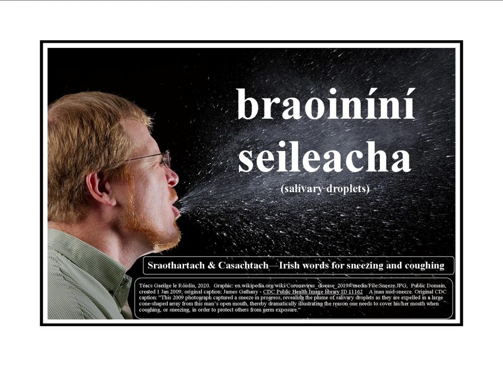 Irish Words For Sneezing And Coughing Sraothartach Agus Casachtach 