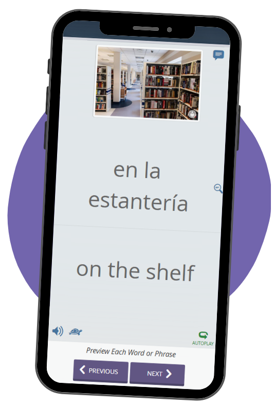 online Spanish course for librarians