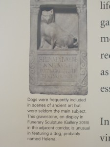 Plaque Acommpanying the gravestone of Helena from the Getty Villa. Courtesy of Brittany Brittaniae.