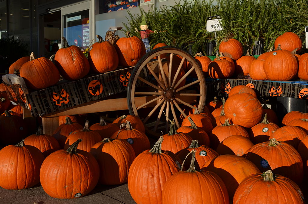 Pumpkins for sale during Halloween. Courtesy of WikiCommons.