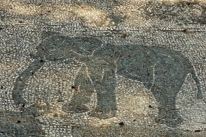 Roman mosaic at Ostia Antica, Italy. Courtesy of WikiCommons &Marie-Lan Nguyen