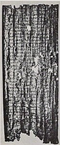 Papyrus discovered at the Villa of the Papyri. Courtesy of WikiCommons.