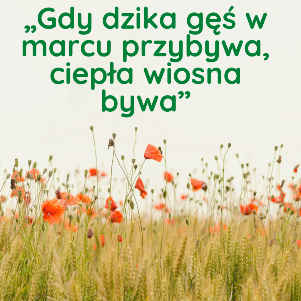 Proverb For Spring Popular Polish proverbs about Spring