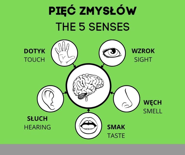 five-senses-in-polish