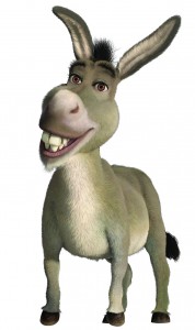 Burro (donkey)