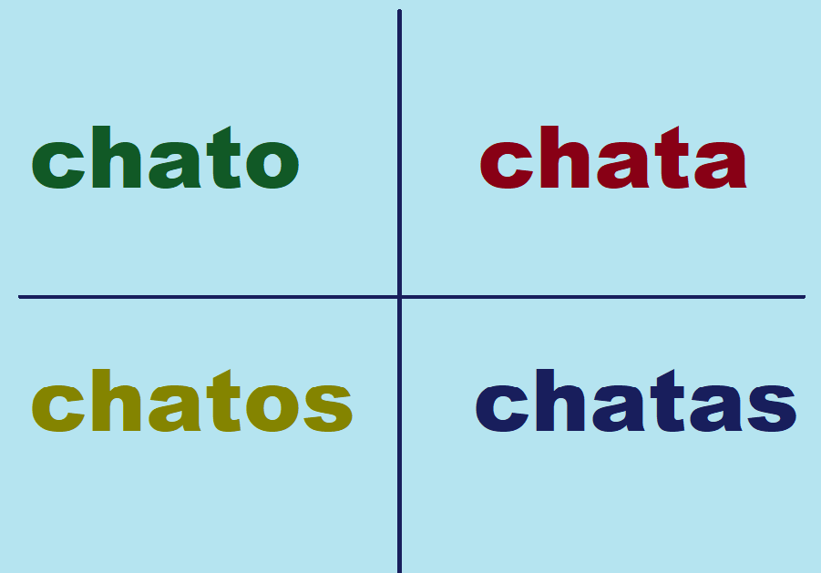 the-word-chato-in-portuguese-portuguese-language-blog